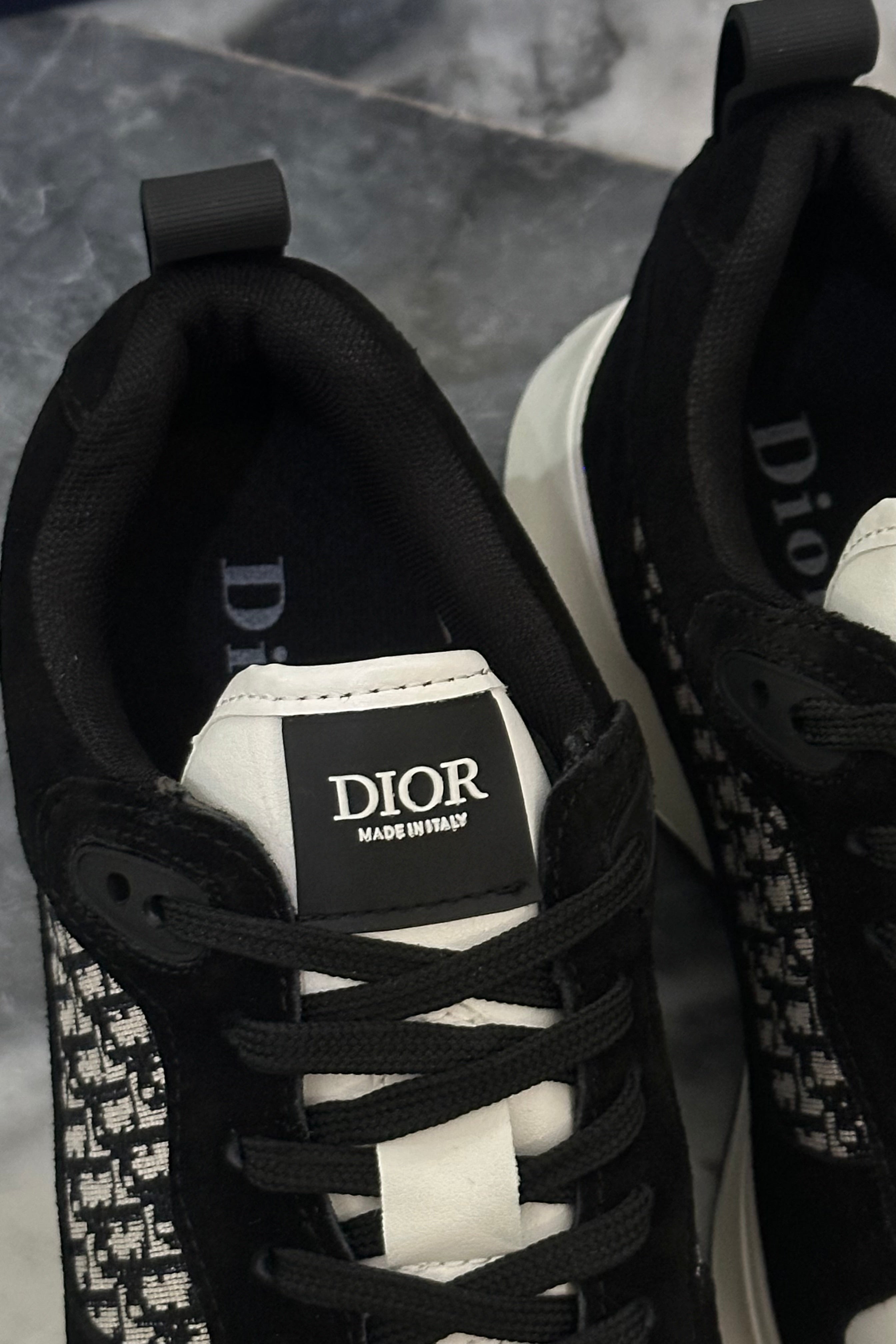 Dior B25 - White Black