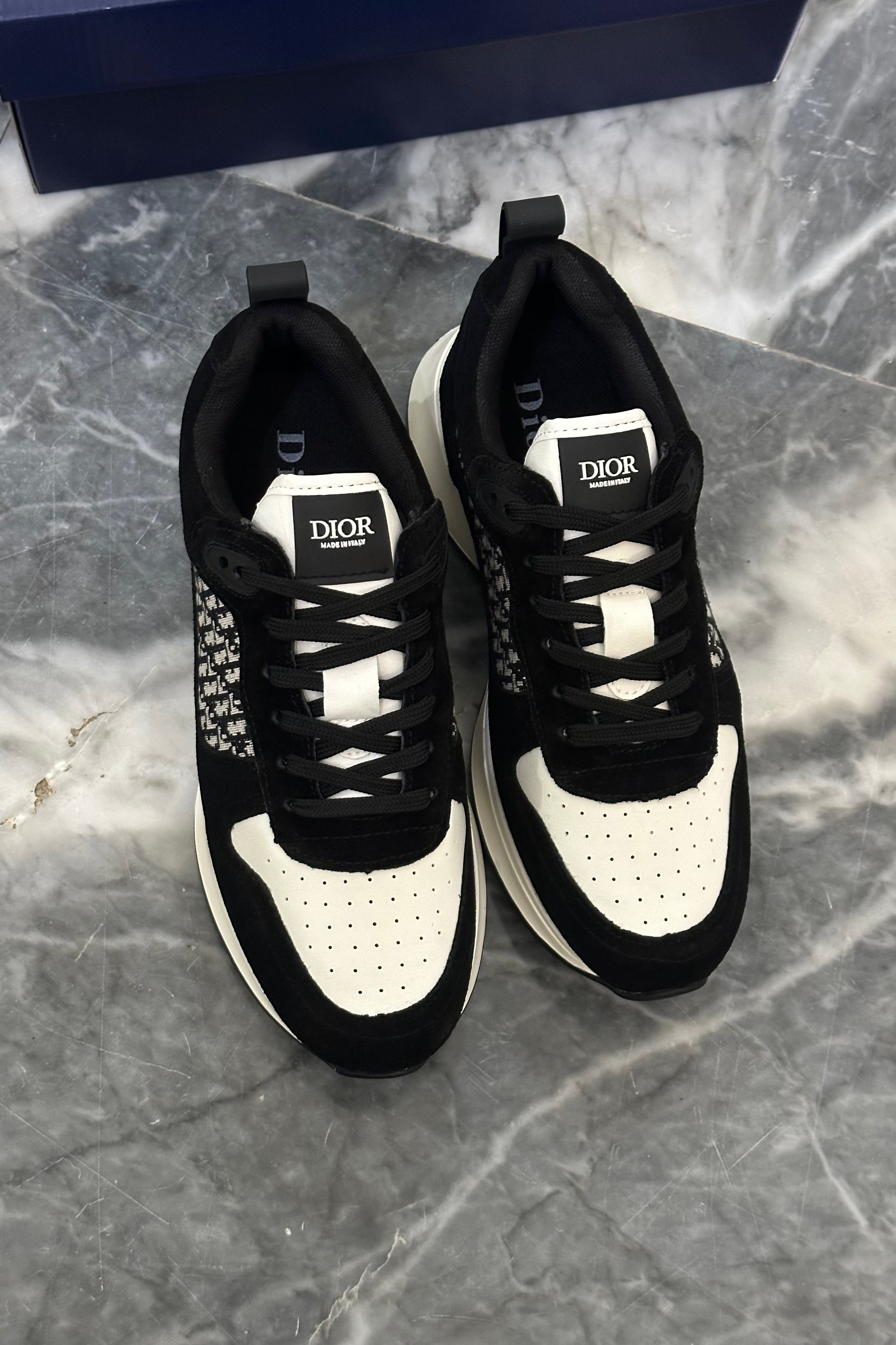 Dior B25 - White Black